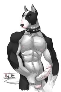 Rating: Explicit Score: 0 Tags: 2014 abs anthro athletic balls biceps big_muscles big_penis biped black_body black_eyes black_fur black_nose bodily_fluids bull_terrier canid canine canis collar contiguous_snout cum cum_string domestic_dog e621 ear_piercing earth_ookami_iram erection front_view fur genital_fluids genitals holding_penis humanoid_genitalia humanoid_penis hunting_dog leaking looking_at_viewer male mammal masturbation multicolored_body multicolored_fur muscular muscular_anthro muscular_male navel nipples nude pecs penile penile_masturbation penis piercing pose precum presenting simple_background solo standing terrier two_tone_body two_tone_fur vein veiny_penis white_background white_body white_fur User: bunchy7s