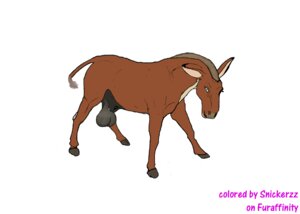Rating: Explicit Score: 0 Tags: animal_genitalia asinus balls big_balls blue_eyes brown_body brown_fur donkey e621 equid equine fur genitals hooves malamut666 male mammal nude sheath simple_background snickerzz solo tail tail_tuft tuft white_background User: bunchy7s