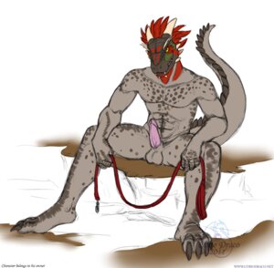 Rating: Explicit Score: 0 Tags: 2011 abs anthro argonian balls bethesda_game_studios biceps biped curiodraco e621 erection feathers feet genitals grin hindpaw holding_leash holding_object horn humanoid_genitalia humanoid_penis inviting leash looking_at_viewer male microsoft muscular muscular_anthro muscular_male non-mammal_balls nude paws penis presenting presenting_penis scalie sitting skyrim smile solo spread_legs spreading tagg tail the_elder_scrolls User: bunchy7s