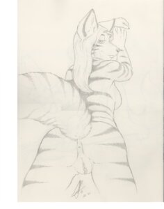 Rating: Explicit Score: 0 Tags: anthro anus biped breasts butt canid canine e621 female genitals greyscale ipoke kimber looking_back mammal markings monochrome side_boob solo standing tail vulva User: bunchy7s
