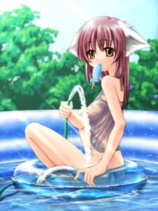 Rating: Questionable Score: 0 Tags: 5_fingers animal_humanoid bottomless cat_humanoid clothed clothing day dessert e621 felid felid_humanoid feline feline_humanoid female fingers food fur glistening hair holding_food holding_object hose humanoid humanoid_hands ice_cream inflatable kiddie_pool looking_at_viewer looking_back mammal mammal_humanoid mouth_hold outside pool_toy popsicle sea_salt_ice_cream sky solo swim_ring tail tan_body tan_skin translucent translucent_clothing unknown_artist water wet wet_clothing white_body white_fur yellow_eyes User: bunchy7s