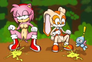 Rating: Explicit Score: 0 Tags: amy_rose anthro artist_request breasts cheese_the_chao clothing cream_the_rabbit dress dress_lift exposed_torso female footwear fur furry handwear hedgehog lagomorph outdoors peeing rabbit rule34 sega small_breasts sonic_(series) sonic_the_hedgehog_(series) straight_hair urine young User: bunchy7s