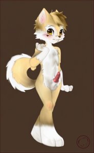 Rating: Explicit Score: 0 Tags: absurd_res anthro balls big_eyes blush canid canine canis digital_media_(artwork) domestic_dog e621 erection genitals harumi heart_symbol hi_res husky knot looking_at_viewer male mammal nordic_sled_dog penis solo spitz tail young young_anthro young_male User: bunchy7s