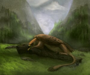 Rating: Safe Score: 0 Tags: 2010 ambiguous_gender avian beak cloud detailed_background e621 feathered_wings feathers feral grass gryphon marwolaeth mythological_avian mythological_creature mythology nature outside plant resting solo tail tree wings wood User: bunchy7s Rating: Safe Score: 0 Tags: 2010 ambiguous_gender avian beak cloud detailed_background e621 feathered_wings feathers feral grass gryphon marwolaeth mythological_avian mythological_creature mythology nature outside plant resting solo tail tree wings wood User: bunchy7s