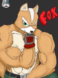 Rating: Safe Score: 0 Tags: 3:4 abs anthro biceps canid canine clothing e621 fox fox_mccloud gloves green_eyes handwear hi_res male mammal muscleartguy muscular muscular_anthro muscular_male nintendo one_eye_closed pose solo star_fox tail wink User: bunchy7s