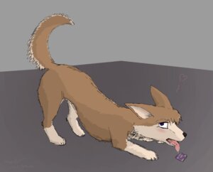 Rating: Questionable Score: 0 Tags: 2011 blush bodily_fluids canid canine caninepilot canis condom domestic_dog e621 female feral heart_symbol kneeling looking_at_viewer mammal not_applicable raised_tail saliva sexual_barrier_device solo tail tongue User: bunchy7s