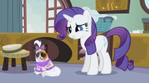 Rating: Safe Score: 0 Tags: creepy domestic_cat domestic_pet duo e621 equid equine felid feline felis female feral friendship_is_magic fur grumpy hasbro horn humor inside mammal meme my_little_pony mythological_creature mythological_equine mythology opalescence_(mlp) rarity_(mlp) smile steghost tail tardar_sauce third-party_edit unicorn what white_body white_fur User: bunchy7s