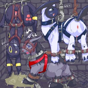 Rating: Explicit Score: 0 Tags: 2006 absol ambiguous_gender ankle_cuffs anus ball_gag balls bdsm black_body black_fur blue_body blue_skin bodily_fluids bondage bondage_gear bound chain claws clenched_teeth collar color crying cuff_(restraint) drooling eeveelution erection exposed eyes_closed fadingsky female feral feral_in_bondage fully_bound fur furry_ears furry_tail gag gagged genital_fluids genitals grey_body grey_fur group handcuffs harness horn indoors looking_at_viewer looking_away male markings metal_cuffs mightyena nintendo nude open_mouth pawpads paws peeing penis pok&eacute;mon_(species) pokemon pokemon_(species) pussy pussy_juice restraints rope rule34 saliva shackles shaking shivering suspension tail tail_cuff tears teeth tongue trembling umbreon urine urine_pool video_games wet white_body white_fur yellow_markings User: bunchy7s