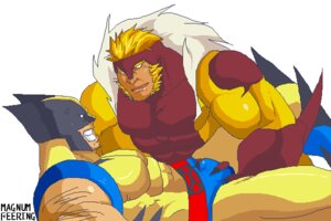 Rating: Questionable Score: 0 Tags: 2boys angry_face briefs bulge bulge_fondling bulge_grab clenched_teeth clothed colored costume eye_contact flaccid gay james_howlett magnum_feering male male_only marvel marvel_comics mutant open_mouth penis rule34 sabretooth sharp_nails superhero victor_creed wolverine_(x-men) x-men yaoi User: bunchy7s