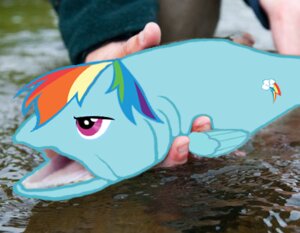 Rating: Safe Score: 0 Tags: aquatic cutie_mark duo e621 female feral fish friendship_is_magic hair hasbro humor low_res multicolored_hair my_little_pony pun purple_eyes rainbow_dash_(mlp) rainbow_hair river shopped solo_focus third-party_edit unknown_artist visual_pun water what wings User: bunchy7s Rating: Safe Score: 0 Tags: aquatic cutie_mark duo e621 female feral fish friendship_is_magic hair hasbro humor low_res multicolored_hair my_little_pony pun purple_eyes rainbow_dash_(mlp) rainbow_hair river shopped solo_focus third-party_edit unknown_artist visual_pun water what wings User: bunchy7s