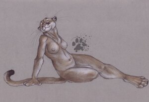 Rating: Questionable Score: 0 Tags: 2007 anthro blotch breasts chest_tuft colored_pencil_(artwork) cougar e621 felid feline female fur mammal navel nipples nude reclining simple_background solo tail textured_background traditional_media_(artwork) tuft whiskers User: bunchy7s