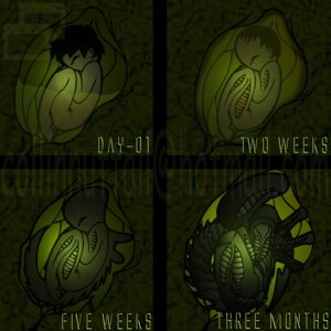 Rating: Explicit Score: 0 Tags: 1:1 2010 alien alien_(franchise) ambiguous_gender base_two_layout basic_sequence body_inside_body curled_up digital_media_(artwork) duo e621 eyeless female fetal_pose four_frame_image four_frame_sequence grid_layout hi_res human inside_uterus internal mammal restricted_palette row_two_layout sequence size_difference slushy solo_focus species_transformation tail transformation transformation_sequence transformation_through_vore unbirthing uterus vaginal vore xenomorph User: bunchy7s