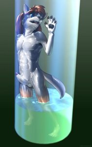 Rating: Explicit Score: 0 Tags: anthro blue_eyes canid canine canis e621 erection genitals hi_res kemono_inukai latex male mammal nude penis solo tail transformation wolf User: bunchy7s Rating: Explicit Score: 0 Tags: anthro blue_eyes canid canine canis e621 erection genitals hi_res kemono_inukai latex male mammal nude penis solo tail transformation wolf User: bunchy7s