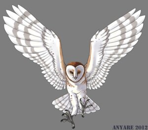 Rating: Safe Score: 0 Tags: alpha_channel ambiguous_gender anyare avian avian_feet barn_owl beak bird claws e621 feathered_wings feathers feet feral flying hindpaw owl paws solo spread_wings talons toes tyto tytonid wings User: bunchy7s Rating: Safe Score: 0 Tags: alpha_channel ambiguous_gender anyare avian avian_feet barn_owl beak bird claws e621 feathered_wings feathers feet feral flying hindpaw owl paws solo spread_wings talons toes tyto tytonid wings User: bunchy7s