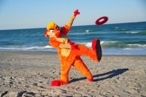 Rating: Safe Score: 0 Tags: 2010 anthro beach chorca_(artist) clothing costume detailed_background e621 frisbee fur fursuit grandfathered_content herpestid male mammal meerkat orange_body orange_fur outside photography_(artwork) real sand sea seaside sky solo waji water User: bunchy7s
