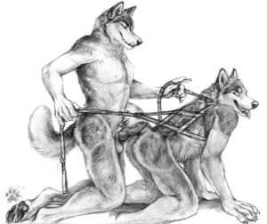 Rating: Explicit Score: 0 Tags: 2012 4_toes all_fours animal_genitalia animal_penis anthro balls bdsm blotch canid canine canine_genitalia canine_penis canis claws digitigrade domestic_dog duo e621 erection feet finger_claws fur genitals harness hindpaw husky kneeling knot leash licking licking_lips male male/male mammal monochrome nordic_sled_dog nude pawpads paws penis scratches_volume_6 self_lick simple_background soles spitz tail toe_claws toes tongue tongue_out traditional_media_(artwork) white_background wolf User: bunchy7s Rating: Explicit Score: 0 Tags: 2012 4_toes all_fours animal_genitalia animal_penis anthro balls bdsm blotch canid canine canine_genitalia canine_penis canis claws digitigrade domestic_dog duo e621 erection feet finger_claws fur genitals harness hindpaw husky kneeling knot leash licking licking_lips male male/male mammal monochrome nordic_sled_dog nude pawpads paws penis scratches_volume_6 self_lick simple_background soles spitz tail toe_claws toes tongue tongue_out traditional_media_(artwork) white_background wolf User: bunchy7s