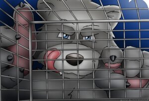 Rating: Safe Score: 0 Tags: anthro blackmuzzle blue_eyes cage captured e621 fur gesture grey_body grey_fur hand_gesture looking_at_viewer male mammal pointing pointing_at_viewer prisoner procyonid raccoon rape_face solo source_request teeth tongue tongue_out User: bunchy7s Rating: Safe Score: 0 Tags: anthro blackmuzzle blue_eyes cage captured e621 fur gesture grey_body grey_fur hand_gesture looking_at_viewer male mammal pointing pointing_at_viewer prisoner procyonid raccoon rape_face solo source_request teeth tongue tongue_out User: bunchy7s