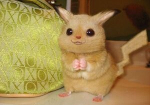 Rating: Safe Score: 0 Tags: ambiguous_gender e621 feral fur generation_1_pokemon grandfathered_content mammal nintendo pikachu pokemon pokemon_(species) real rodent solo tail unknown_artist yellow_body yellow_fur User: bunchy7s Rating: Safe Score: 0 Tags: ambiguous_gender e621 feral fur generation_1_pokemon grandfathered_content mammal nintendo pikachu pokemon pokemon_(species) real rodent solo tail unknown_artist yellow_body yellow_fur User: bunchy7s