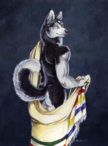 Rating: Questionable Score: 0 Tags: 2005 anthro bedding blanket blue_eyes canid canine canis domestic_dog e621 fur heather_bruton hudson_bay husky inner_ear_fluff looking_at_viewer male mammal muscular muscular_anthro muscular_male nordic_sled_dog nude raised_tail smile solo spitz tail tuft User: bunchy7s