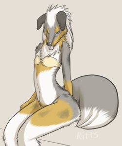 Rating: Questionable Score: 0 Tags: ambiguous_gender anthro biped canid canine canis clothed clothing domestic_dog e621 looking_at_viewer mammal ritts sitting skimpy solo tail User: bunchy7s Rating: Questionable Score: 0 Tags: ambiguous_gender anthro biped canid canine canis clothed clothing domestic_dog e621 looking_at_viewer mammal ritts sitting skimpy solo tail User: bunchy7s