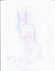 Rating: Explicit Score: 0 Tags: birds_of_prey dc dc_comics female huntress_(dc) joe_pekar rule34 tagme User: bunchy7s