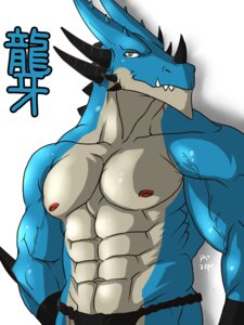 Rating: Safe Score: 0 Tags: 2014 3:4 abs anthro asian_clothing athletic biceps big_muscles biped blue_body blue_skin clothed clothing dragon e621 east_asian_clothing fangs front_view fundoshi gloves grey_body grey_skin grin handwear hentist horn japanese_clothing looking_at_viewer male muscular muscular_anthro muscular_male mythological_creature mythological_scalie mythology nipples pecs pose reptile ryuga_takagi scales scalie smile solo standing teeth topless underwear vein yellow_eyes User: bunchy7s