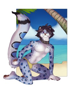 Rating: Questionable Score: 0 Tags: 2012 anthro beach blue_body blue_fur blue_sky bulge celestina clothed clothing collar detailed_background e621 eyewear felid fur glasses hi_res leopard_spots looking_at_viewer male mammal nelson_jenkins outside palm_tree pantherine plant pose purple_eyes sand sea seaside skimpy sky snow_leopard solo speedo spots swimwear tail topless tree water User: bunchy7s