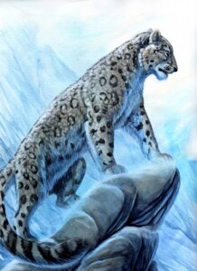 Rating: Safe Score: 0 Tags: 2008 digitigrade e621 felid feral fur hibbary leopard_spots male mammal mountain outside pantherine quadruped rock snow snow_leopard solo spots tail winter User: bunchy7s