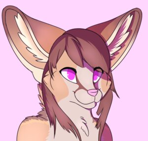 Rating: Safe Score: 0 Tags: anthro brown_hair canid canine casualfennec e621 fennec_fox fox fur hair happy inner_ear_fluff long_hair male mammal multicolored_body multicolored_fur pink_background pink_eyes pink_nose shaded simple_background smile solo tan_body tan_fur tan_inner_ear_fluff true_fox tuft User: bunchy7s