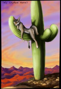 Rating: Safe Score: 0 Tags: 2008 anthro blackteagan cactus canid canine canis cloud coyote desert detailed_background e621 eyes_closed male mammal nude outside plant saguaro sky sleeping solo tail User: bunchy7s Rating: Safe Score: 0 Tags: 2008 anthro blackteagan cactus canid canine canis cloud coyote desert detailed_background e621 eyes_closed male mammal nude outside plant saguaro sky sleeping solo tail User: bunchy7s