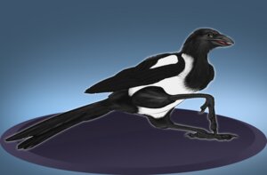 Rating: Safe Score: 0 Tags: ambiguous_gender avian beak bird black_beak black_body black_feathers claws corvid e621 equalicus eurasian_magpie feathered_wings feathers feral holarctic_magpie magpie_(corvid) oscine passerine pinup pose solo suggestive toe_claws wings User: bunchy7s
