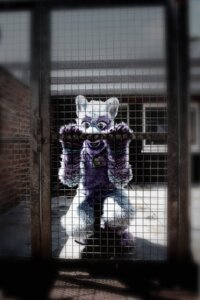 Rating: Safe Score: 0 Tags: 2010 anthro bars blue_eyes cage canid canine canis character_badge_(object) clothing commentary costume e621 fursuit grandfathered_content hi_res keenora looking_at_viewer male mammal noodle_soup photography_(artwork) real sad solo stripes wolf User: bunchy7s