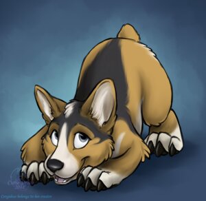 Rating: Safe Score: 0 Tags: 2011 ambiguous_gender ass_up canid canine canis curiodraco domestic_dog e621 feral herding_dog lying mammal on_front pastoral_dog solo welsh_corgi User: bunchy7s
