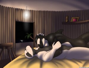 Rating: Questionable Score: 0 Tags: absurd_res ambiguous_gender anthro aquatic beach bed cetacean digital_media_(artwork) dolphin duo e621 eyes_closed furniture hand_on_head hi_res hug inside male mammal nx-42 oceanic_dolphin open_mouth orca palm_tree plant resort romantic romantic_ambiance romantic_couple seaside sleeping toothed_whale tree User: bunchy7s Rating: Questionable Score: 0 Tags: absurd_res ambiguous_gender anthro aquatic beach bed cetacean digital_media_(artwork) dolphin duo e621 eyes_closed furniture hand_on_head hi_res hug inside male mammal nx-42 oceanic_dolphin open_mouth orca palm_tree plant resort romantic romantic_ambiance romantic_couple seaside sleeping toothed_whale tree User: bunchy7s