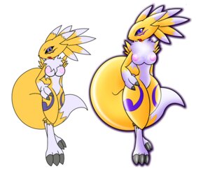 Rating: Explicit Score: 0 Tags: anthro anthro_only canine digimon digimon_(species) female fox gb_of_bs renamon rika_nonaka rule34 transformation User: bunchy7s