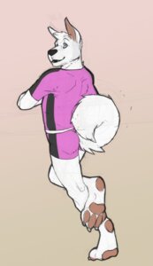 Rating: Safe Score: 0 Tags: anthro blue_eyes bottomwear canid canine canis chris_berry_(vrart1) claws clothing domestic_dog e621 fur hi_res husky looking_at_viewer looking_back male mammal no_swift nordic_sled_dog pawpads paws shorts solo spitz vrart1 white_body white_fur User: bunchy7s
