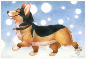 Rating: Safe Score: 0 Tags: 2009 border canid canine canis collar domestic_dog e621 female feral herding_dog idess mammal pastoral_dog pembroke_welsh_corgi solo welsh_corgi white_border User: bunchy7s Rating: Safe Score: 0 Tags: 2009 border canid canine canis collar domestic_dog e621 female feral herding_dog idess mammal pastoral_dog pembroke_welsh_corgi solo welsh_corgi white_border User: bunchy7s