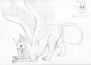 Rating: Explicit Score: 0 Tags: anus avian beak black_and_white butt e621 feathered_wings feathers female feral genitals gryphon line_art monochrome mythological_avian mythological_creature mythology presenting presenting_hindquarters shiraseskai simple_background sketch solo tail vulva white_background wings User: bunchy7s