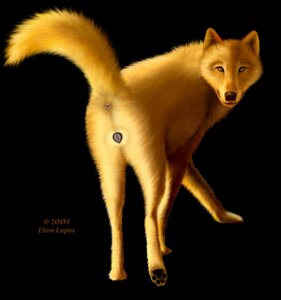 Rating: Explicit Score: 0 Tags: 2003 amber_eyes anatomically_correct anatomically_correct_anus anatomically_correct_genitalia anatomically_correct_vulva animal_genitalia animal_vulva anus black_background black_lips black_nose black_pawpads butt canid canine canine_genitalia canine_vulva canis e621 ebon_lupus feet female feral genitals hindpaw in_heat lips looking_at_viewer looking_back mammal pawpads paws presenting presenting_hindquarters raised_tail rear_view signature simple_background solo tail tail_anus vulva wolf User: bunchy7s Rating: Explicit Score: 0 Tags: 2003 amber_eyes anatomically_correct anatomically_correct_anus anatomically_correct_genitalia anatomically_correct_vulva animal_genitalia animal_vulva anus black_background black_lips black_nose black_pawpads butt canid canine canine_genitalia canine_vulva canis e621 ebon_lupus feet female feral genitals hindpaw in_heat lips looking_at_viewer looking_back mammal pawpads paws presenting presenting_hindquarters raised_tail rear_view signature simple_background solo tail tail_anus vulva wolf User: bunchy7s