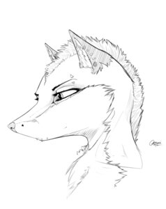 Rating: Safe Score: 0 Tags: 2012 alternative_fashion ambiguous_gender anthro bust_portrait canid canine chest_tuft e621 fox fur greyscale hair inner_ear_fluff line_art mammal mohawk monochrome oonami piercing portrait punk sketch solo tattoo tuft User: bunchy7s