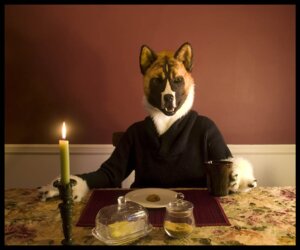 Rating: Safe Score: 0 Tags: 6:5 akita anthro candle canid canine canis clothing costume domestic_dog e621 furniture fursuit grandfathered_content looking_at_viewer male mammal qarrezel real solo spitz table User: bunchy7s Rating: Safe Score: 0 Tags: 6:5 akita anthro candle canid canine canis clothing costume domestic_dog e621 furniture fursuit grandfathered_content looking_at_viewer male mammal qarrezel real solo spitz table User: bunchy7s