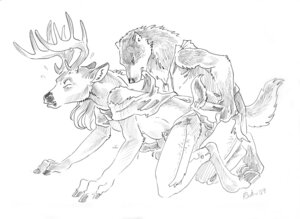Rating: Explicit Score: 0 Tags: anthro balls canid canine canis clothing deer duo e621 erection fingers genitals heather_bruton hi_res hooved_fingers hooves larger_sub male male/male mammal monochrome penis predator/prey size_difference small_top_big_bottom submissive tail wolf User: bunchy7s