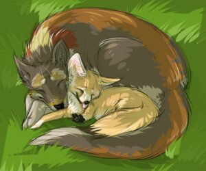 Rating: Safe Score: 0 Tags: 6:5 ambiguous_gender canid canine canis cuddling danji-isthmus digital_drawing_(artwork) digital_media_(artwork) duo e621 fennec_fox feral field fox graneth grass hybrid mammal outside pawpads paws plant quadruped size_difference taag tail tongue tongue_out true_fox wolf User: bunchy7s