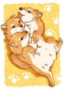 Rating: Safe Score: 0 Tags: 3_heads ambiguous_gender canid canid_demon canine canis cerberus daww demon domestic_dog e621 european_mythology feral footprint greek_mythology hellhound jyoka kemono mammal multi_head mythological_canine mythological_creature mythology pawprint shiba_inu solo spitz tail tongue warm_colors young young_feral User: bunchy7s Rating: Safe Score: 0 Tags: 3_heads ambiguous_gender canid canid_demon canine canis cerberus daww demon domestic_dog e621 european_mythology feral footprint greek_mythology hellhound jyoka kemono mammal multi_head mythological_canine mythological_creature mythology pawprint shiba_inu solo spitz tail tongue warm_colors young young_feral User: bunchy7s