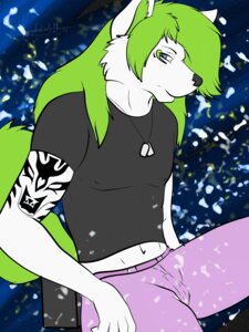 Rating: Safe Score: 0 Tags: 2014 3:4 abstract_background anthro biped blue_eyes bottomwear canid canine canis clothing dog_tags e621 fur green_hair hair hi_res jewelry long_hair looking_at_viewer male mammal navel necklace pants pink_bottomwear pink_clothing pink_pants shirt simple_background sitting solo t-shirt tattoo taylor_voshiket topwear voshiket white_body white_fur wolf User: bunchy7s