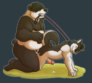 Rating: Explicit Score: 0 Tags: 2014 absurd_res all_fours almasy anal anal_penetration anthro bear beard biceps black_hair black_nose bodily_fluids canid canine canis clenched_teeth collar cum cum_on_ground doggystyle domestic_dog dominant dominant_male duo e621 erection facial_hair from_behind_position fur genital_fluids genitals giant_panda goatee hair hair_over_eyes hi_res holding_leash holding_object humanoid_genitalia humanoid_penis husky kneeling larger_dom leash leash_in_mouth leash_pull looking_back male male/male male_penetrated male_penetrating male_penetrating_male mammal mouth_hold mugs_(mugsaith) multicolored_body multicolored_fur muscular nordic_sled_dog nude object_in_mouth one_eye_closed penetration penis precum sex side_view size_difference slightly_chubby snugsthehusky spitz submissive submissive_male teeth torso_grab two_tone_body two_tone_fur User: bunchy7s Rating: Explicit Score: 0 Tags: 2014 absurd_res all_fours almasy anal anal_penetration anthro bear beard biceps black_hair black_nose bodily_fluids canid canine canis clenched_teeth collar cum cum_on_ground doggystyle domestic_dog dominant dominant_male duo e621 erection facial_hair from_behind_position fur genital_fluids genitals giant_panda goatee hair hair_over_eyes hi_res holding_leash holding_object humanoid_genitalia humanoid_penis husky kneeling larger_dom leash leash_in_mouth leash_pull looking_back male male/male male_penetrated male_penetrating male_penetrating_male mammal mouth_hold mugs_(mugsaith) multicolored_body multicolored_fur muscular nordic_sled_dog nude object_in_mouth one_eye_closed penetration penis precum sex side_view size_difference slightly_chubby snugsthehusky spitz submissive submissive_male teeth torso_grab two_tone_body two_tone_fur User: bunchy7s