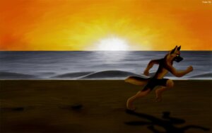 Rating: Safe Score: 0 Tags: 16:10 2006 action_pose anthro aquatic beach canid canine canis detailed_background digitigrade domestic_dog e621 fluke german_shepherd herding_dog male mammal outside pastoral_dog pose running seaside shadow sky solo sunset tail wallpaper widescreen User: bunchy7s Rating: Safe Score: 0 Tags: 16:10 2006 action_pose anthro aquatic beach canid canine canis detailed_background digitigrade domestic_dog e621 fluke german_shepherd herding_dog male mammal outside pastoral_dog pose running seaside shadow sky solo sunset tail wallpaper widescreen User: bunchy7s