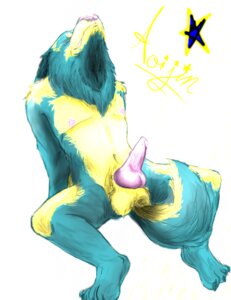 Rating: Explicit Score: 0 Tags: anthro balls canid canine e621 erection genitals low_res male mammal penis sarah-mae solo User: bunchy7s
