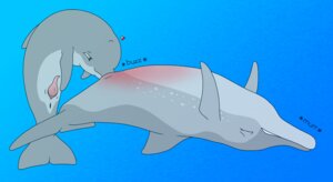 Rating: Explicit Score: 0 Tags: ambiguous_gender flipper male male/ambiguous rule34 tagme User: bunchy7s