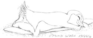 Rating: Explicit Score: 0 Tags: anus asthexiancal female feral furry lani_aliikai monochrome pencil_(artwork) penguin rule34 surf's_up User: bunchy7s Rating: Explicit Score: 0 Tags: anus asthexiancal female feral furry lani_aliikai monochrome pencil_(artwork) penguin rule34 surf's_up User: bunchy7s